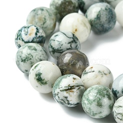 Натуральные древесные агатовые круглые бусины из драгоценных камней&nbsp;G-R255-10mm