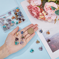 10 комплект из 6-х стилей подвесок из натурального и синтетического камня с крошкообразным узором&nbsp;G-HY0001-35