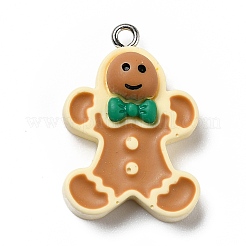 Подвески из непрозрачной смолы&nbsp;LS-RESI-D055-020P