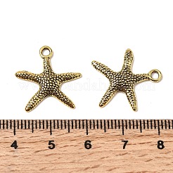 Сплавочные подвески тибетского стиля&nbsp;TIBEP-EA306YKG-AG-LF