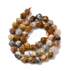 Природные сумасшедший агат бисер нитей&nbsp;G-Z119-A13-02