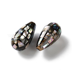 Бусины из натуральной ракушки пауа&nbsp;SSHEL-B002-10A-02