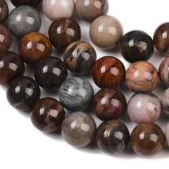 Натуральный окаменелого дерева нити круглый шарик&nbsp;G-F266-08-8mm