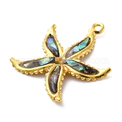 Подвески из нержавеющей стали 304 с натуральными ракушками пауа/абалона&nbsp;STAS-S163-21G