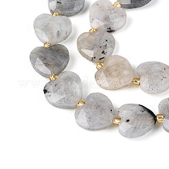 Природные лабрадорита бисер нитей&nbsp;G-P592-B14-01