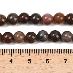 Натуральный окаменелого дерева нити круглый шарик&nbsp;G-F266-08-6mm