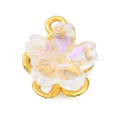 Сплав стекла амулеты&nbsp;FIND-C079-05G-03-1