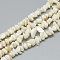 Freshwater Shell Beads Strands, Dyed, Chip, Beige, 4~14x4~8x1~8mm, Hole: 1mm, about 210~250pcs/strand, 31.4 inch