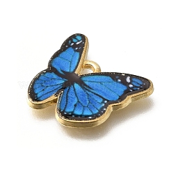 Подвески из эмали и сплава&nbsp;FIND-G078-35G-12