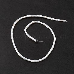 Натуральные пресноводные окрашенные бусы из ракушек SHEL-M018-12-12