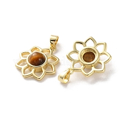 Природных тигровый глаз подвески&nbsp;G-B123-02G-08