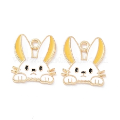 Подвески из эмали и сплава&nbsp;PALLOY-D015-08