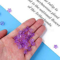 Прозрачные акриловые бусины&nbsp;MACR-S373-45-B14