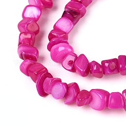 Нити бусин из натуральных пресноводных ракушек&nbsp;SHEL-N037-04E