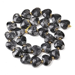 Натуральные нити бус из ларвикита G-P592-B05-01