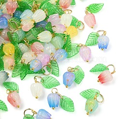 90шт 9 цвета акриловые подвески&nbsp;PALLOY-YW00152