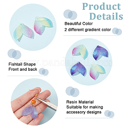 20 шт. 2-цветные подвески из прозрачной смолы с градиентом цвета&nbsp;RESI-AR0001-24