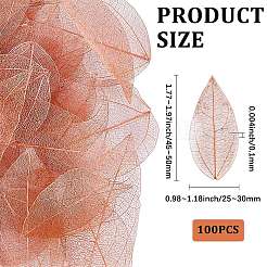 100 шт. сушеные цветы и листья&nbsp;AJEW-CP0009-41C