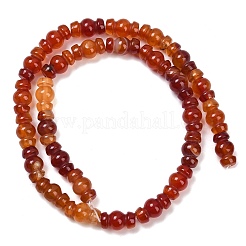 Бусины из натурального красного агата (окрашенные и нагретые)&nbsp;G-P595-B02-01