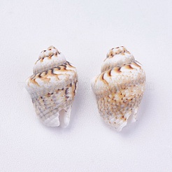 Бусины из ракушек&nbsp;BSHE-P026-35