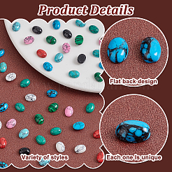 70 шт. 10 стиля овальных синтетических кабошонов из бирюзы и синтетического малахита&nbsp;G-PH0002-68