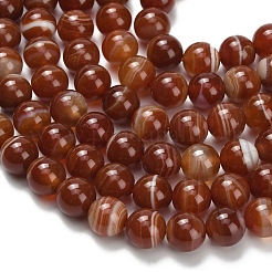 Натуральные полосатые агатовые бусы&nbsp;G-L642-B04-8mm