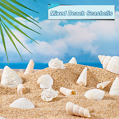 Натуральная оболочка для изготовления наполнителей для ваз для аквариума&nbsp;DIY-WH0002-98