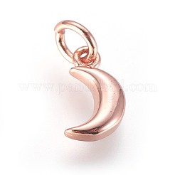 Эмаль латунные брелоки&nbsp;KK-G364-16