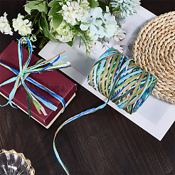 6 цвет шнуров из рафиевой бумаги&nbsp;OCOR-WH0063-110D