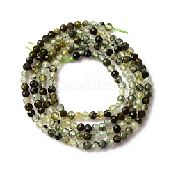 Природные пренит нитей бисера&nbsp;LS-G-L629-B05-2mm