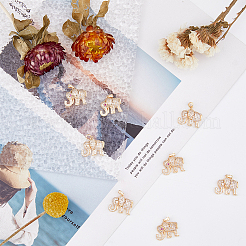 8 шт. 2-цветные ионно-покрытые (IP) латунные подвески с микропаве из кубического циркония&nbsp;KK-DC0002-91