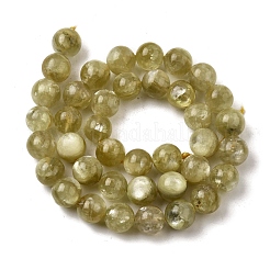 Натуральные лепидолитовые бусины G-F799-B02-10mm