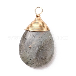 Природные подвески лабрадорита&nbsp;PALLOY-JF05086-02