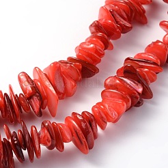 Нити бусин из натуральных ракушек&nbsp;LS-BSHE-D003-4