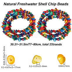 2 нити натуральных пресноводных ракушек окрашенных бусин нити&nbsp;G-BBC0001-43A