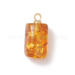 Подвески из натурального янтаря с градиентным цветом&nbsp;PALLOY-JF04877