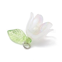 5шт прозрачные акриловые подвески&nbsp;PALLOY-JF04703-02