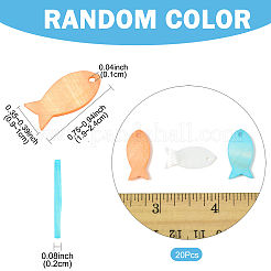 20 шт. подвески из окрашенных натуральных ракушек&nbsp;SHEL-FS0001-16