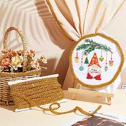 Блестящая плетеная кружевная отделка из полиэстера&nbsp;OCOR-WH0079-24A