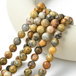 Натуральные сумасшедшие кружевные агатовые круглые бусины&nbsp;G-M272-03-10mm