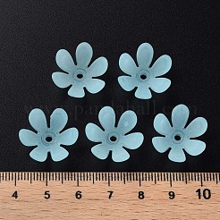 Прозрачные акриловые бусины&nbsp;MACR-S373-47-D07