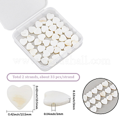 2 нить бусин из натуральных пресноводных ракушек&nbsp;SHEL-SC0001-85B