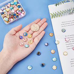 128 шт. 8-х цветные нити из бисера из пресноводных ракушек&nbsp;SHEL-SC0001-15