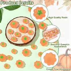 Кабошоны из смолы&nbsp;RESI-YW0005-55