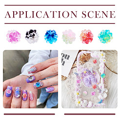 Кабошоны из смолы 60шт 6 цветов&nbsp;MRMJ-TA0001-42