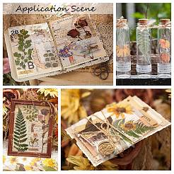 6 шт. клейкие водонепроницаемые наклейки для домашних животных&nbsp;DIY-K074-01E