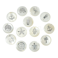 Природные подвески оболочки пресноводных&nbsp;SHEL-CJ0001-05