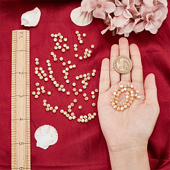 Нити бусин из натуральных трохоидных/трохус ракушек&nbsp;SSHEL-NB0001-34