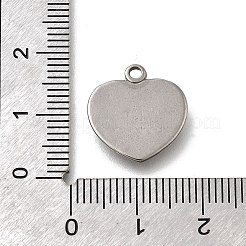 Подвески из нержавеющей стали 304&nbsp;STAS-C119-07P