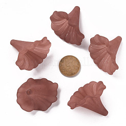 Прозрачные акриловые бусины&nbsp;BSF796-C06